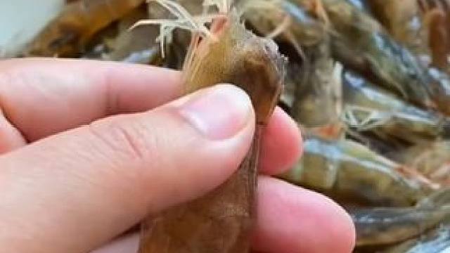 厨房小技巧，想学啥告诉我#上热门 #实用小技巧