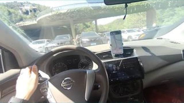 自驾见闻：到处都是轿车和大树，这是哪个景点 #自驾游 #汽车