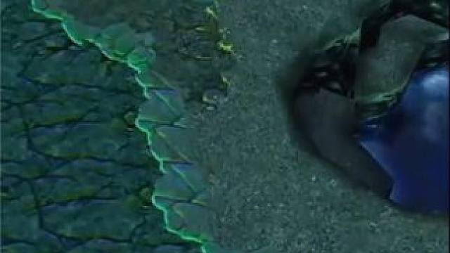 (三） 大熊原声大碟，P神带队高端对黑，质量局