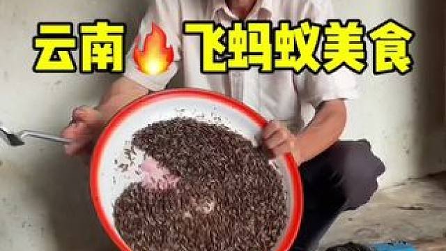 雨季来了又到了云南吃飞蚂蚁的季节了#我的乡村生活 #支持三农扶持三农发展 #昆虫美食 #云南人的家乡