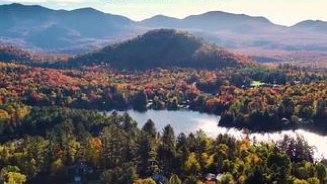 喀什噶尔胡杨 - 刀郎#番茄畅听