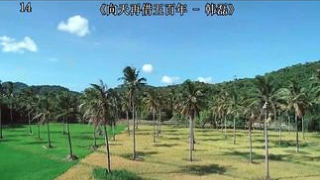 向天再借五百年 - 韩磊#番茄畅听