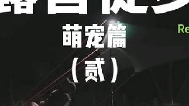 露营徒步：萌宠篇（贰）
带着狗子出去玩~
 #露营 #萌宠  #助眠 #户外露营 #带狗旅行