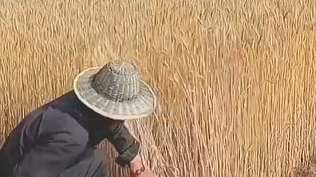 一看都是干活的讲究人，行家里手