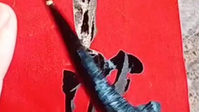 人文 国学 传统文化 艺术 书法 直播视频