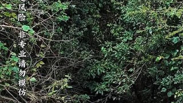 深不见底的无底枯坑 又发现一个无底深渊，扔石头下去测试一下深度#户外 #专业动作请勿模仿 #极限运动