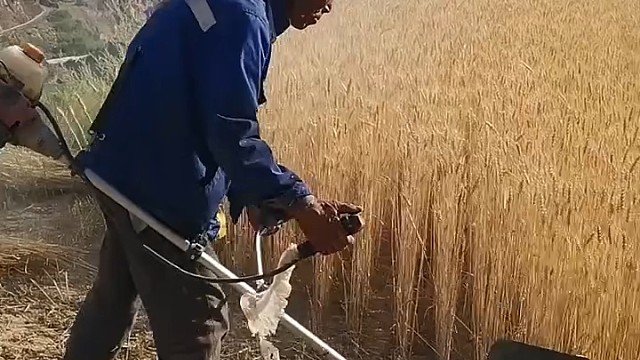 联合收割机进不去，这把工具真给力