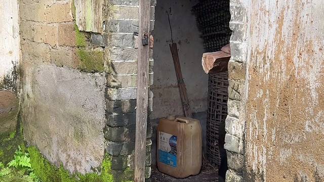 荒废老房了多老鼠，自制魅鼠灵让他有来无回