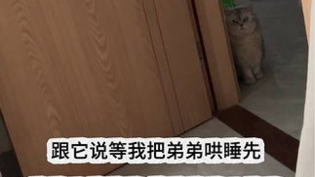 爱常觉得亏欠 #记录猫咪日常 #它真的好像个小宝宝