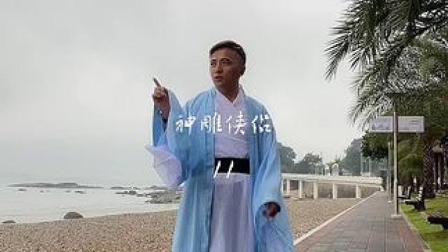 赵之敬传杨过心法#神雕侠侣#热门#推荐