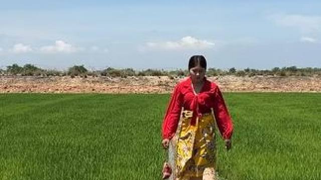 户外烤肉 #户外美食 #我的乡野山居生活 #稻田风光 #田园生活 #农家田园 #乡村田园生活 #户外