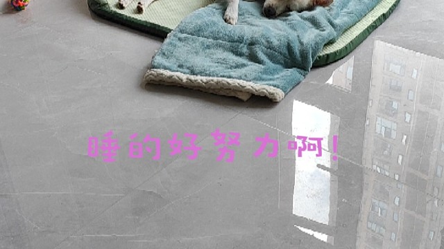 睡的好用力啊！