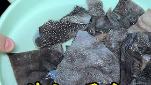 端午节可用！鲜毛肚自助无限畅吃，还有几十种菜品，饮料无限畅吃#端午节吃什么 #重庆火锅 #鲜毛肚不限