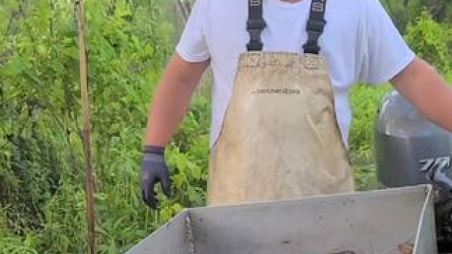 国外捉小龙虾 #国外视频分享 #小龙虾