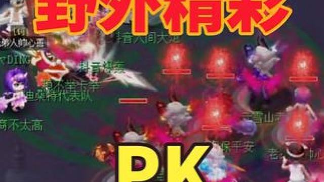 野外精彩PK #梦幻西游 #梦幻西游小王 #梦幻西游王不留情