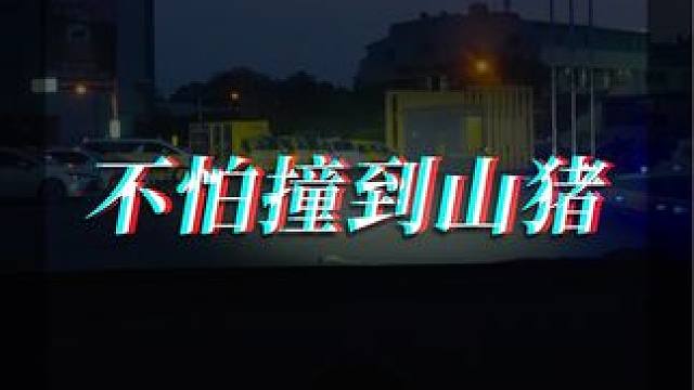 不怕撞到山猪！ 
#廖洋玩车 #赛车手 #赛车手日常 #TWracing #d2racing