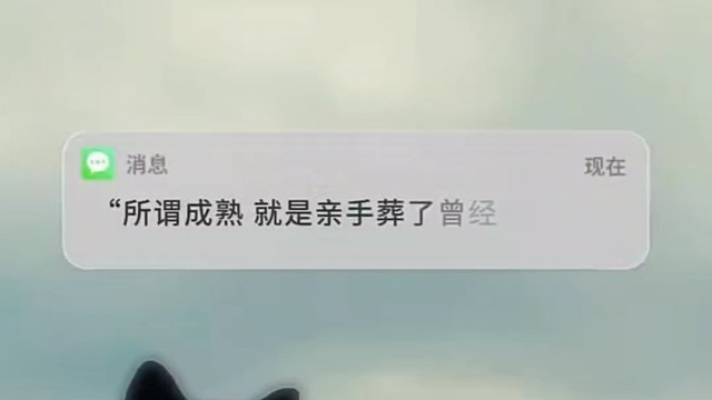 再次见面的尴尬还是没有消散#