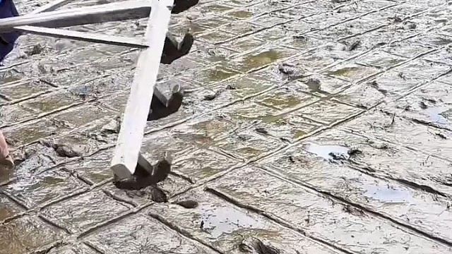 又到了插中稻的季节