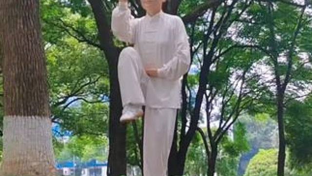 没有完美的生活，只有最好的心态，心若向阳，平淡的日子也泛着光 #太极拳#爱太极#一见爱上传统文化#儿