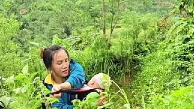 阿萍种植番薯，她的玉米即将可以收获了#野外生存 #国外生活 #单亲妈妈