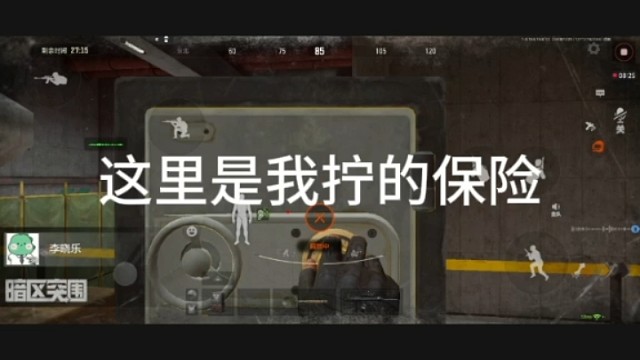 垃圾野排