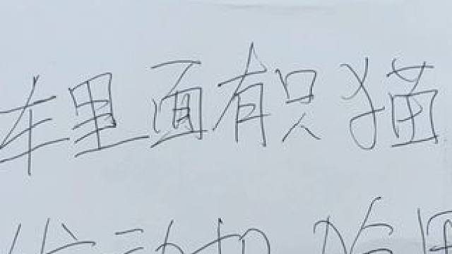 第N次遇到车里长了只猫 希望车主回来能把猫放出来#这猫咪上辈子是修车的吧