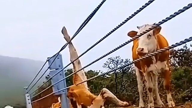 远距离容易分开近距离费劲