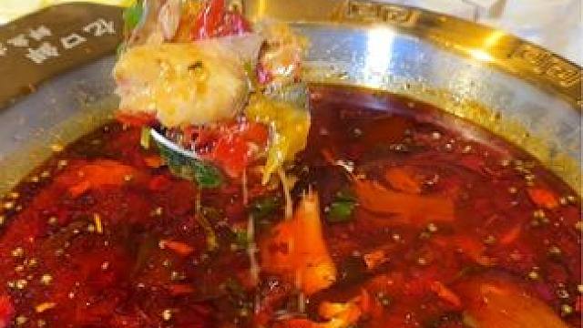 喜欢吃鱼的快来这家试试吧，地道的四川风味，师傅也是十几年的四川老师傅哦#我的探店日记 #同城发现 #