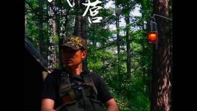 享受这份放慢时间的惬意#露营 #一个人的露营时光 #户外 #林中露营 #帐篷