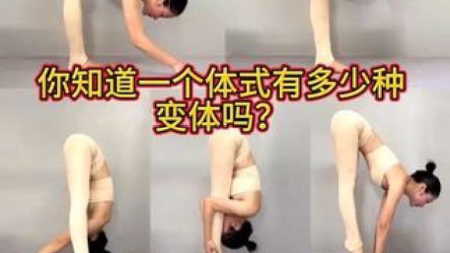 这本有着500多个体式变体要领精讲，采用图流1400张，无论你是初学，进阶，私教都是很好的参考教材，