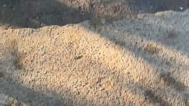 楼梯滚瓶子爆破解压时刻