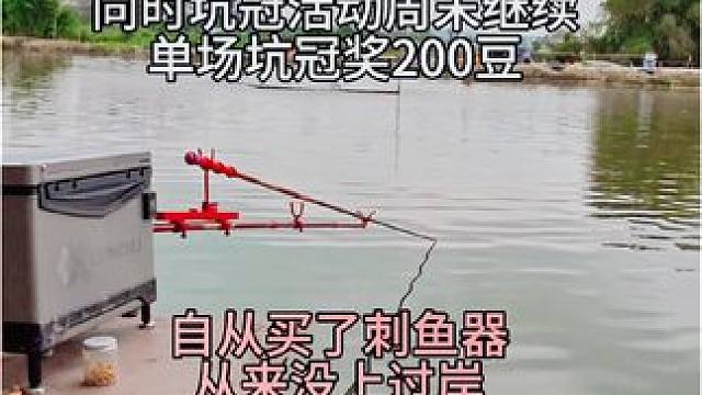 自从买了刺鱼器，从来没有上过岸！#钓鱼 #钓鱼人 #2024dou来钓鱼