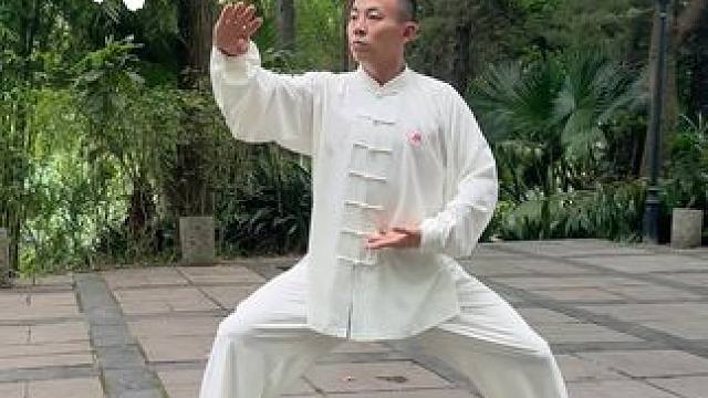 拳打万遍，其义自现，在坚持中收获健康与快乐！#太极拳 #太极拳教学 #因为热爱所以坚持 #训练日常 