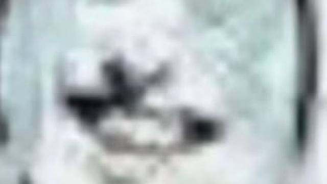 #我的世界 已老实，求放过