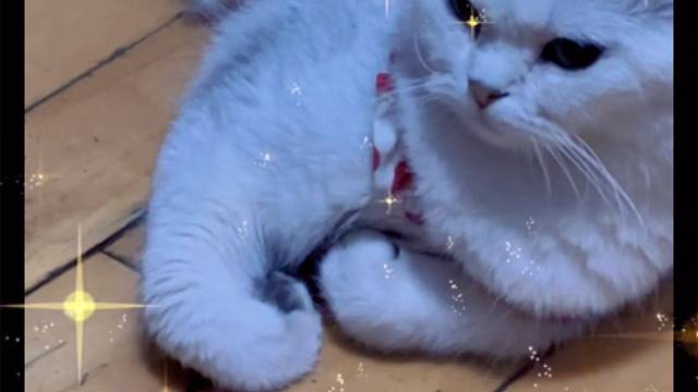 我就说感觉哪里不对嘛～