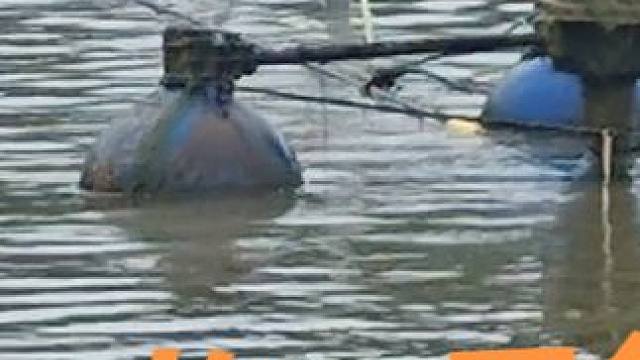 今天唯一的一口鱼，竿还被拖走了！#钓鱼 #钓鱼人 #2024dou来钓鱼