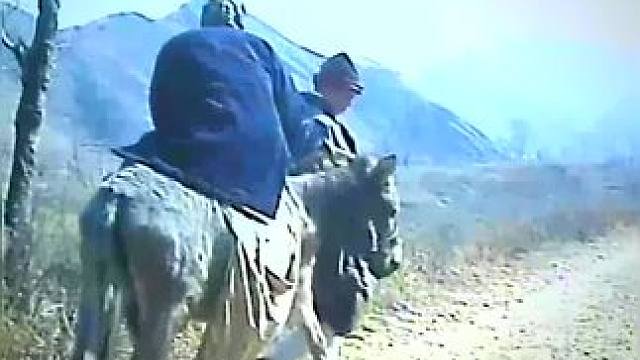 ﻿下载《西瓜视频》，免费观看精彩后续/精彩海量免费短剧免费看！ #因为一个片段看了整部剧