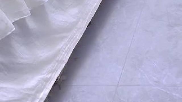 有了这个缝隙刷，家里的沙发低，床底，缝隙都好打扫了#缝隙除尘掸  #缝隙刷  #家务好帮手  #生活