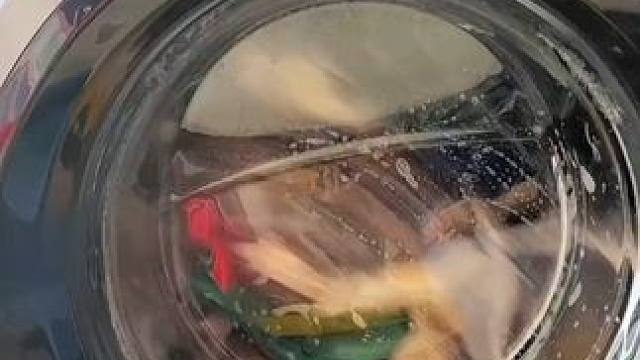 出差旅行住酒店带着这个可折叠#五孔晾衣架  就太方便了！！哪里都能挂，还不占地方！！#多功能折叠衣架