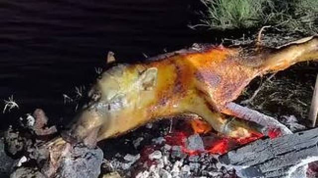 烤乳猪 #东南亚美食 #野外生存 #烤乳猪