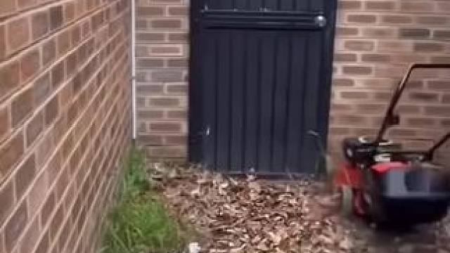 我发布了一个新视频，快来围观吧！