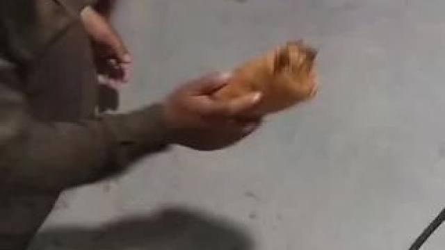 我发布了一个新视频，快来围观吧！