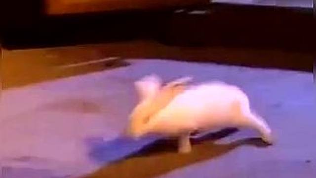 下载《西瓜视频》，免费观看精彩后续/精彩海量免费短剧免费看！ #因为一个片段看了整部剧