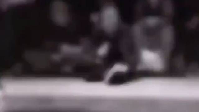 好灵活的五花肉