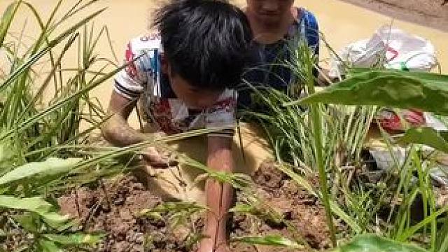 户外抓鱼 #户外钓鱼 #户外抓鱼 #农村生活