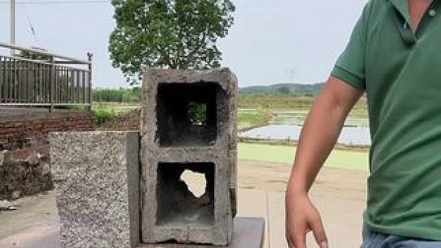 这一掌有十年的功力嘛#寸拳#寸劲#高手在民间