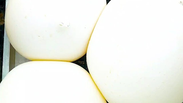 滚瓶子下刀山爆破解压时刻