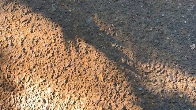 楼梯滚瓶子爆破解压时刻