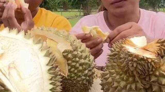 泰国的猫屎榴莲吃到饱是啥感觉，今天老马带嫂子来尝尝 #榴莲 #金枕榴莲 #咀嚼音 #咀嚼音解压 #太