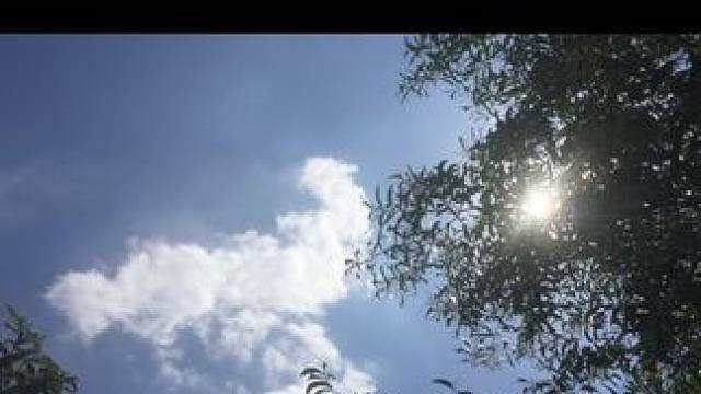 《爱像苦涩的酒》#番茄畅听 #音乐 #风景